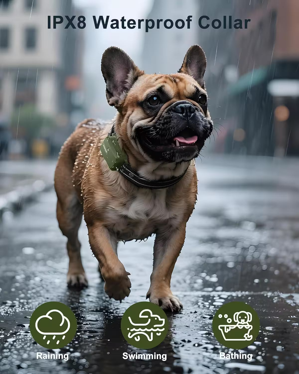 Dog wearing an IPX8 waterproof collar in the rain with icons indicating its functionality.